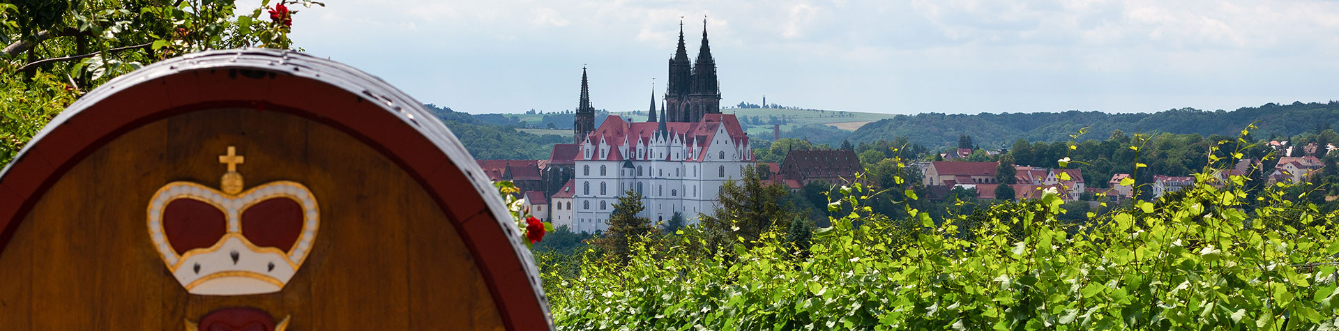 Schloss Proschwitz - Weinberg